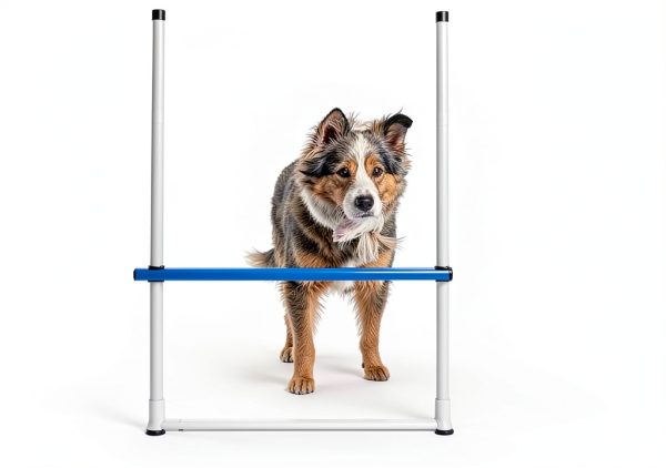 Hoffco Dog Agility Tunnel Backyard Training Equipment-1
