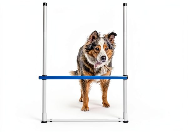 Hoffco Dog Agility Tunnel Adjustable Backyard Training-1
