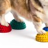 FITPAWS Dog Agility Equipment Balance Training Pods-1