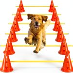 MDTMR Dog Agility Tunnel Collapsible Pet Training Equipment-0