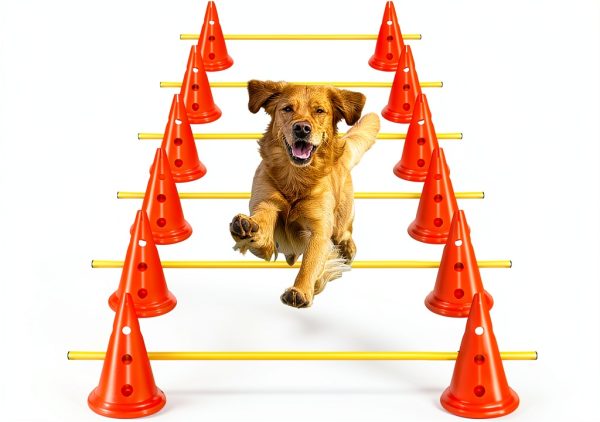 MDTMR Dog Agility Tunnel Collapsible Pet Training Equipment-0