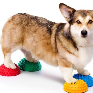 FITPAWS Dog Agility Equipment Balance Training Pods-0