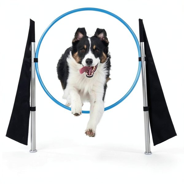 Houseables Dog Agility Set Adjustable Jumps Tunnel Training-2