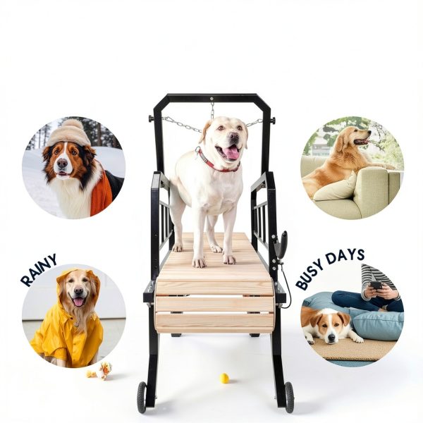 Albott Dog Treadmill Manual Wood Black Exercise Fitness-1