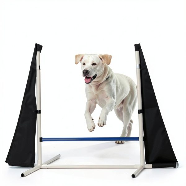 Houseables Dog Agility Set Adjustable Jumps Tunnel Training-4