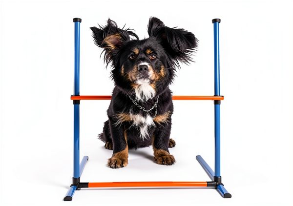 Melktemn Dog Agility Course Set Backyard Training Equipment-1