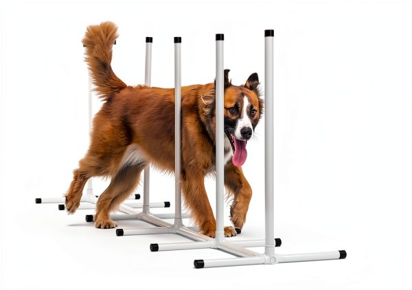 Hoffco Dog Agility Tunnel Adjustable Backyard Training-6