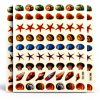 Sticker108 Gold Reflective Shell Scrapbook Stickers for Kids-0