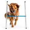 Hoffco Dog Agility Tunnel Adjustable Backyard Training-5