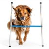 Hoffco Dog Agility Tunnel Backyard Training Equipment-6