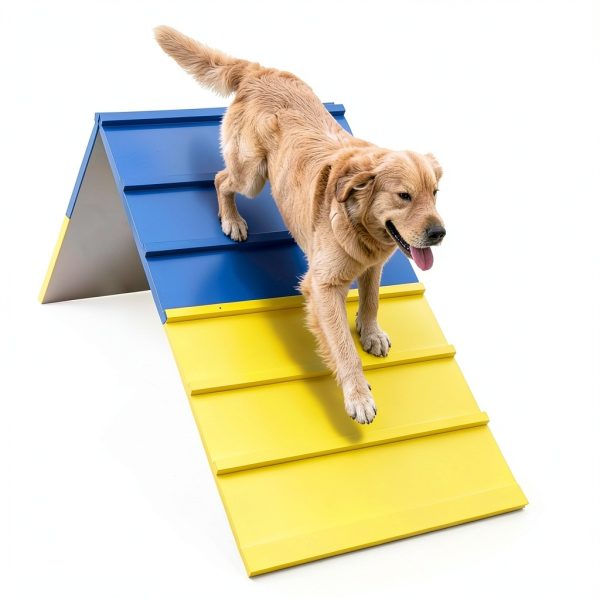 Koretech Dog Agility A-Frame Adjustable Foldable Wood Ramp-4
