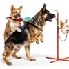 Kvittra Dog Agility Training Set Adjustable Hurdles Tunnel-4