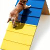 Koretech Dog Agility A-Frame Adjustable Foldable Wood Ramp-0