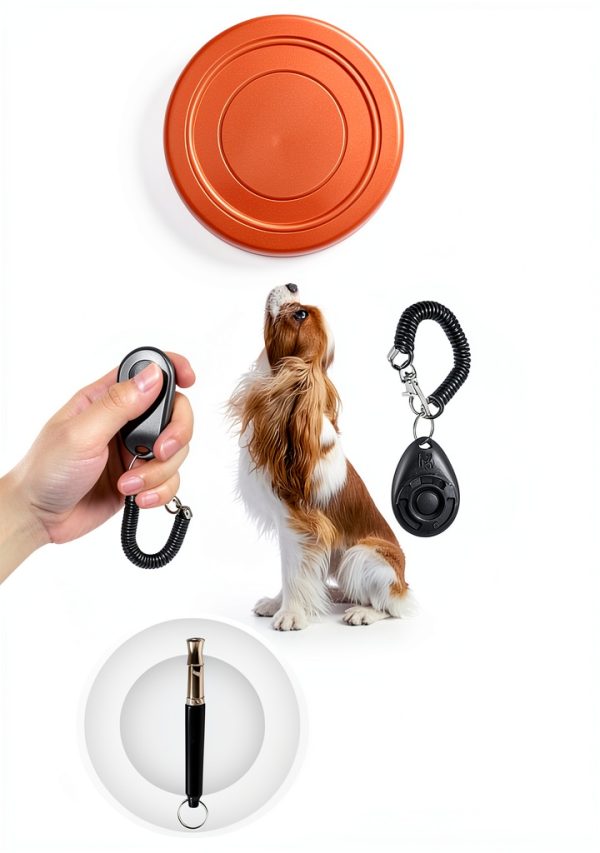 Kvittra Dog Agility Training Set Adjustable Hurdles Tunnel-2