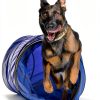 Hoffco Dog Agility Tunnel 24 Inch Diameter Sandbags-4