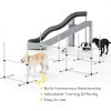 Aosom Dog Agility Jumps Adjustable Height Training Kit-6