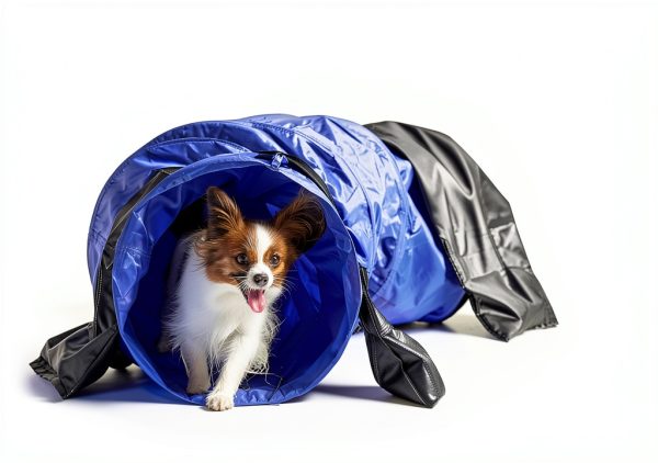 TRIXIE Dog Agility Tunnel Nylon Training Small Pets-2