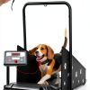 Petbobi Dog Treadmill Foldable Compact Design for Small-0