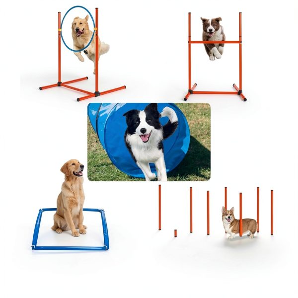 Kvittra Dog Agility Training Set Adjustable Hurdles Tunnel-1