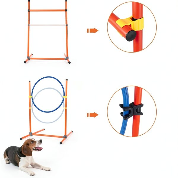 Kvittra Dog Agility Training Set Adjustable Hurdles Tunnel-3