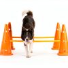TRIXIE Dog Agility Jump Kit Adjustable Hurdle-5