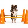 TRIXIE Dog Agility Jump Kit Adjustable Hurdle-1