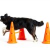 TRIXIE Dog Agility Jump Kit Adjustable Hurdle-2