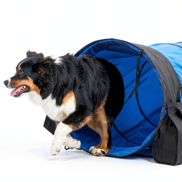 Briwooody Dog Agility Tunnels Orange 28in X 10ft-4