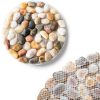 Natural Pebble Stepping Stones Yuanzhihang 9in Outdoor Massage Path-3