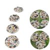 Natural Pebble Stepping Stones Yuanzhihang 9in Outdoor Massage Path-5