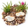 Garden Stone Stars in the Sky Memorial Pavilion Gift Co 10in Round-8