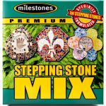 Stepping Stone Mix Midwest Products Premium 8lb Cement for DIY Kits-0